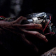 Image for article titled Lost Finale Recap: Jacob's Red Herring